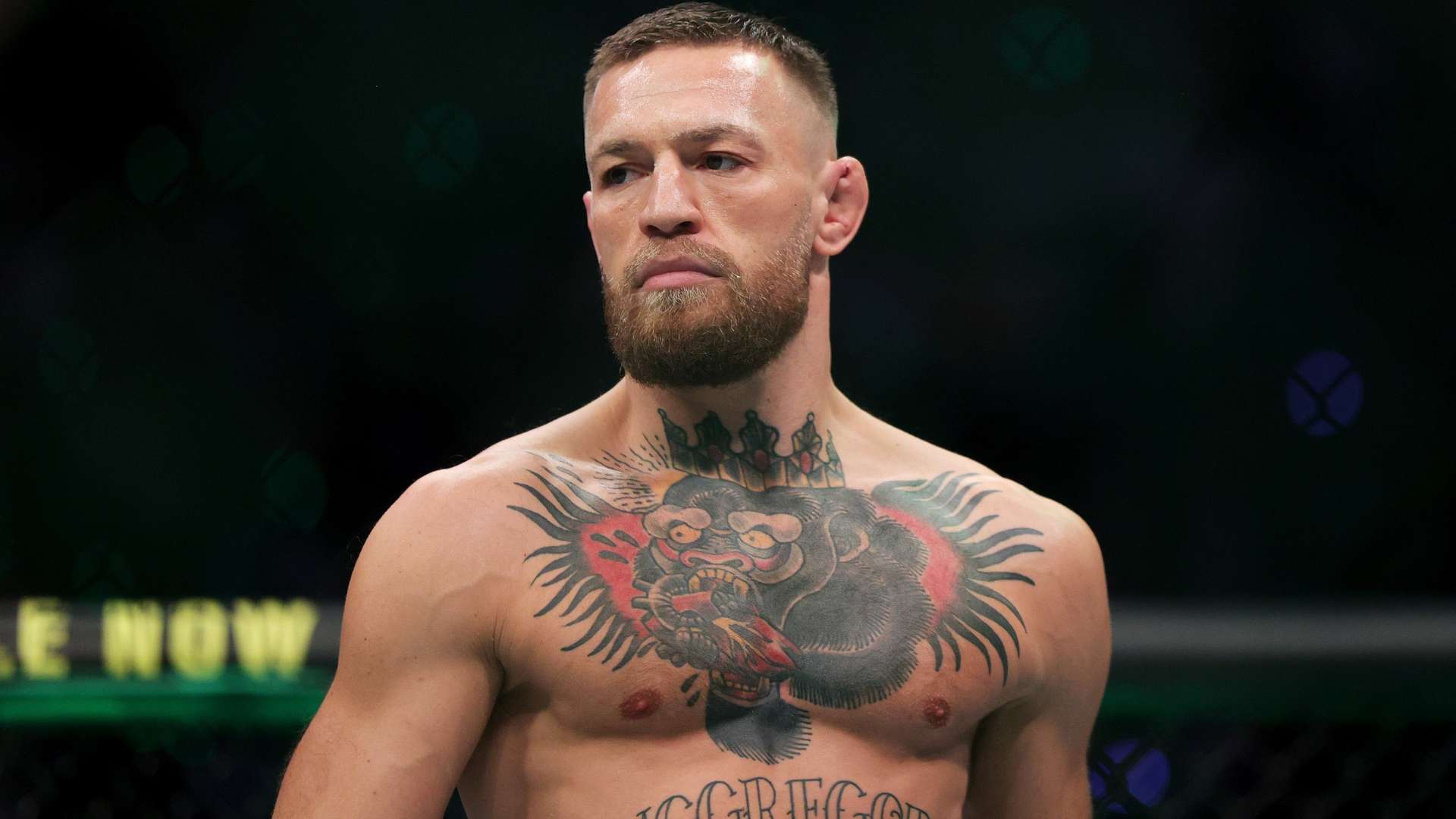 俱乐部的高 俱乐部的高