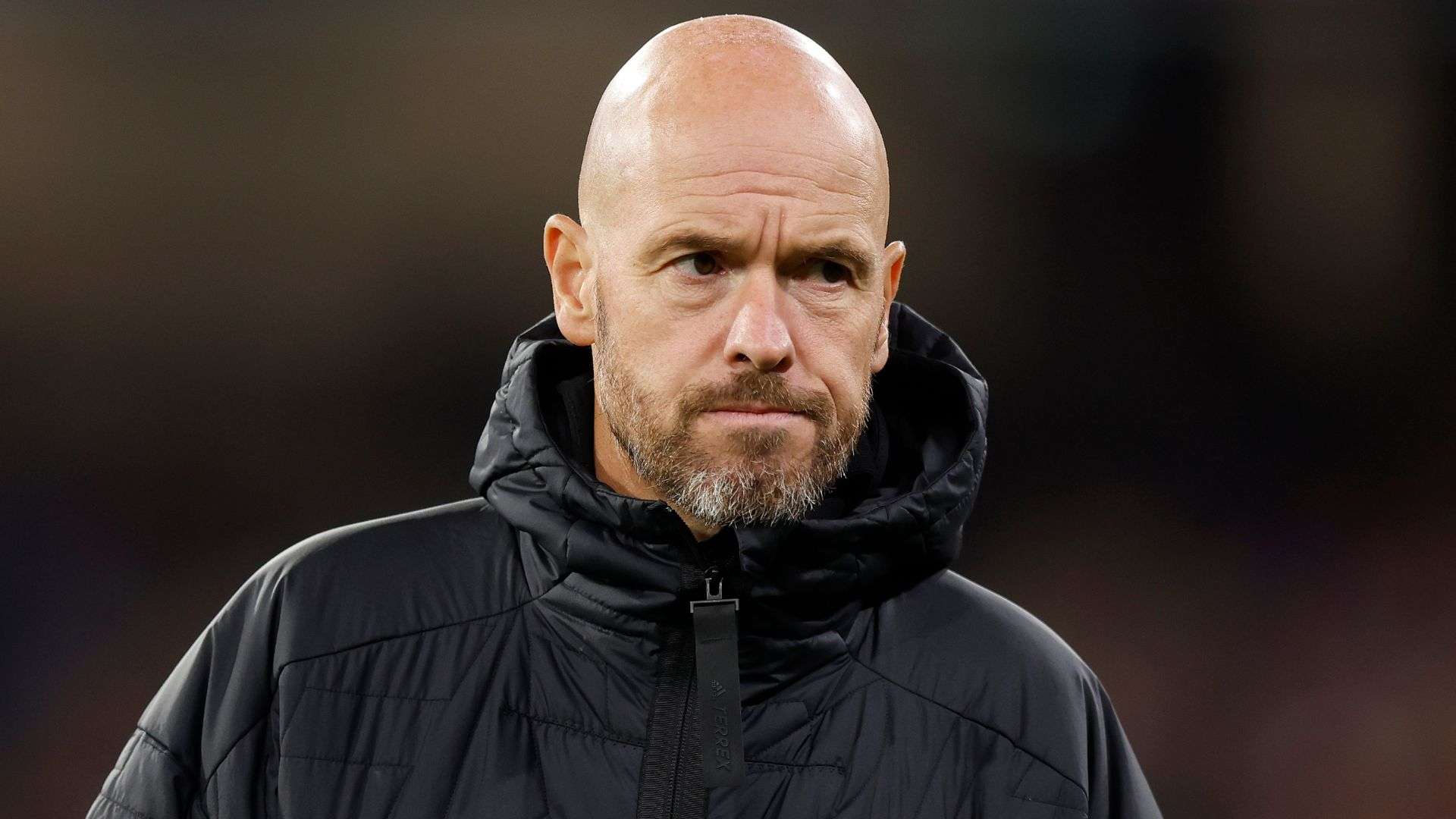 他的情緒激 他的情緒激